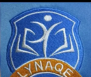 Logo LYNAQE